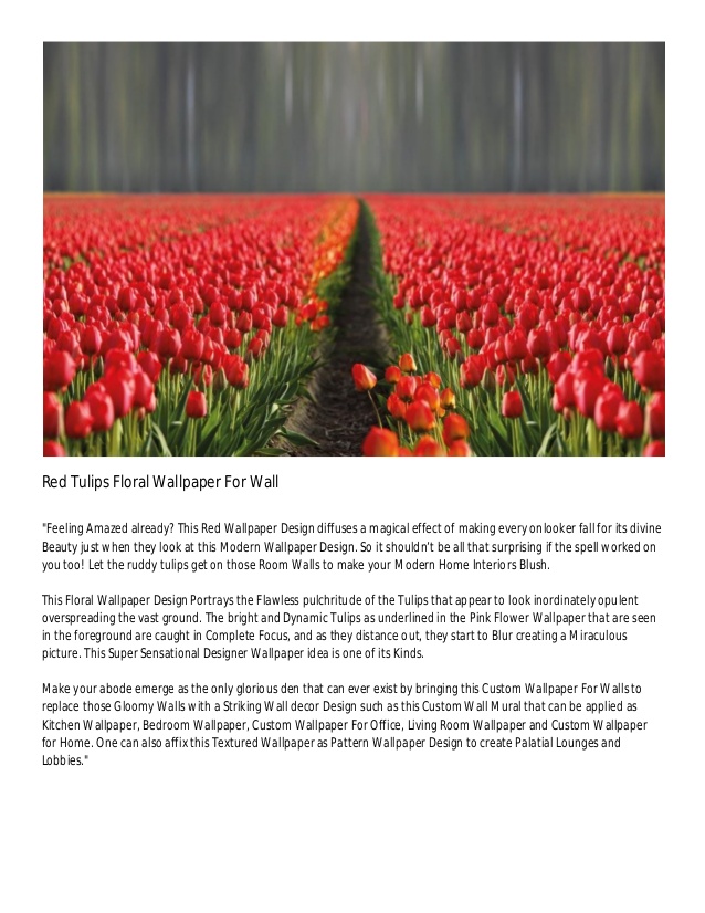 Sprenger's Tulip - HD Wallpaper 