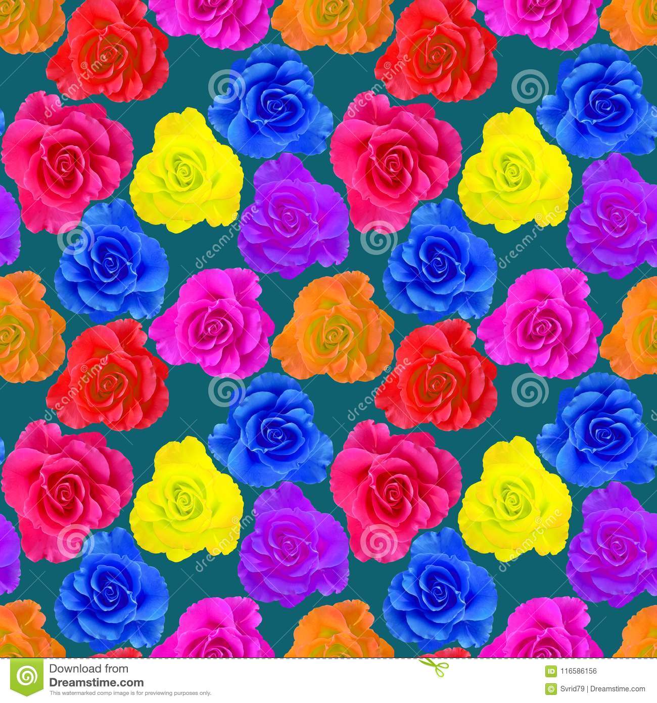 Rose, Rose Flower - Garden Roses - HD Wallpaper 