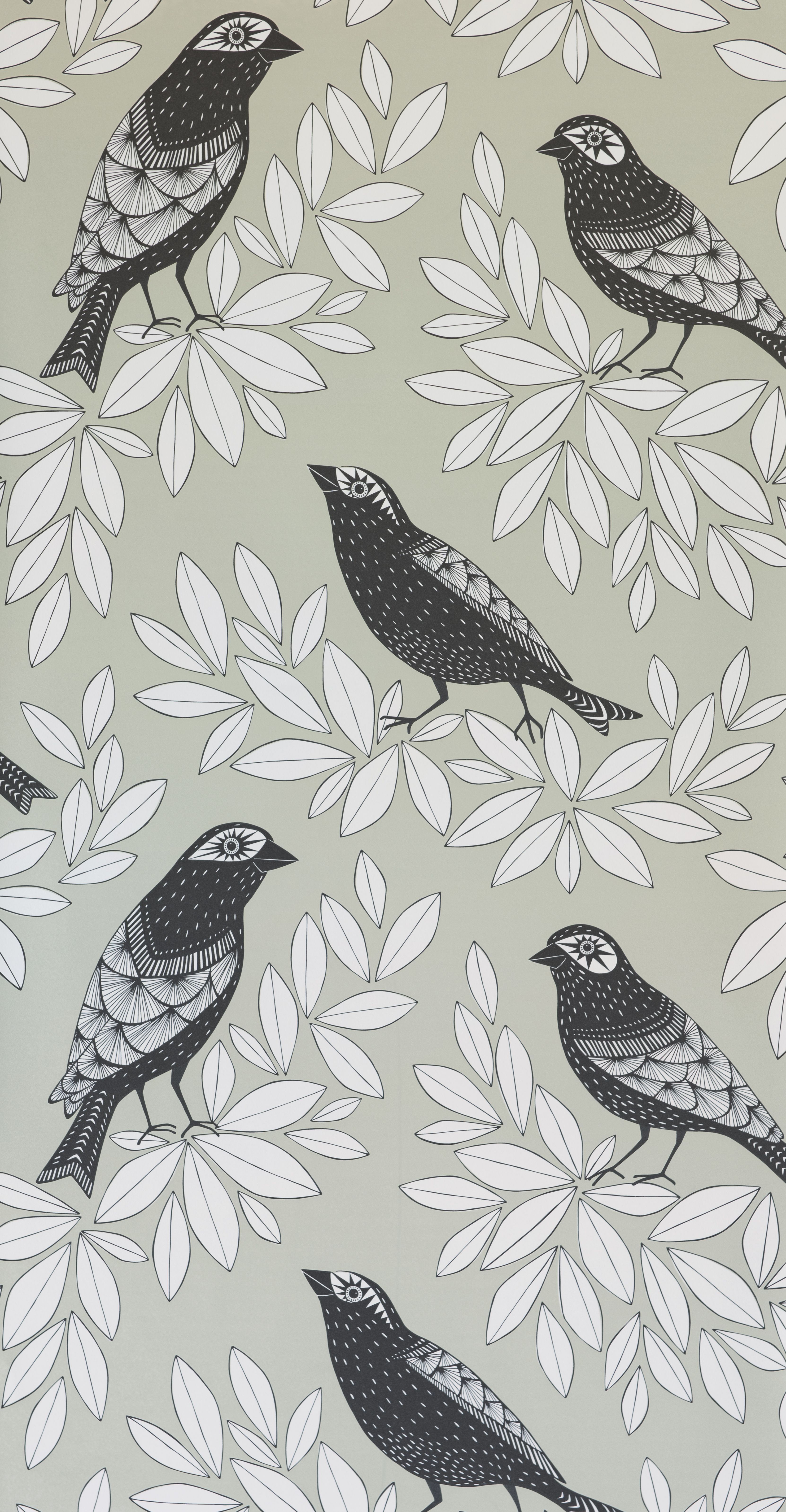 Missprint Songbird - HD Wallpaper 