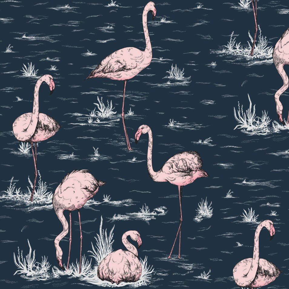 Cole & Son Flamingo - HD Wallpaper 