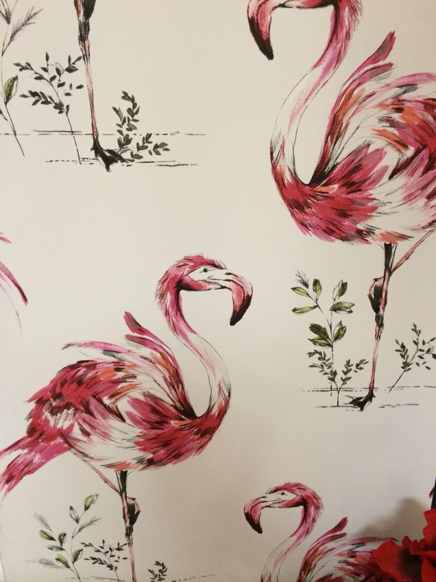 Graham And Brown Flamingo - HD Wallpaper 