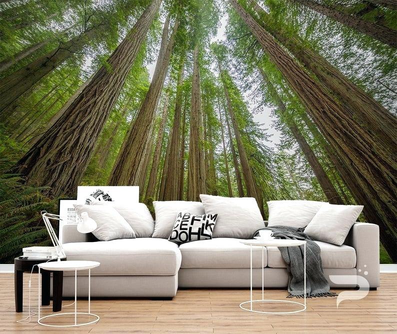 Sequoia Forest Mural Giant Trees Wallpaper Redwood - Forest Wallpaper Murals For Walls - HD Wallpaper 