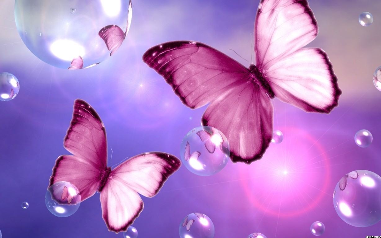 Pink Butterfly Wallpaper For Walls - Pink Butterflies With Flowers - HD Wallpaper 