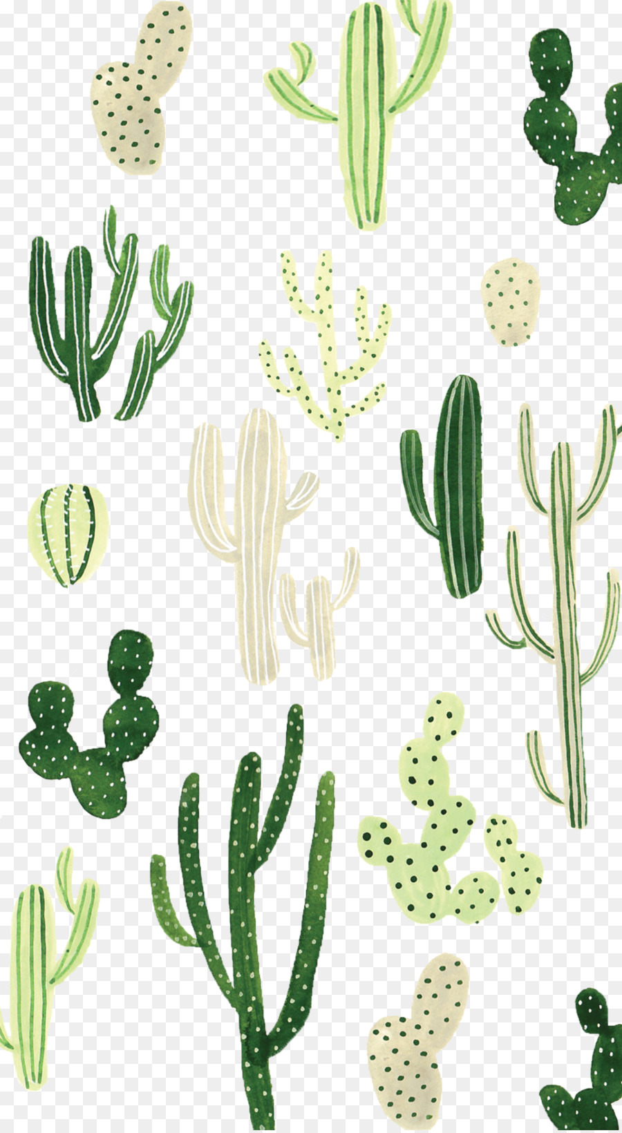 Desktop Wallpaper Cactaceae Iphone Wallpaper - Iphone Wallpaper Plants - HD Wallpaper 
