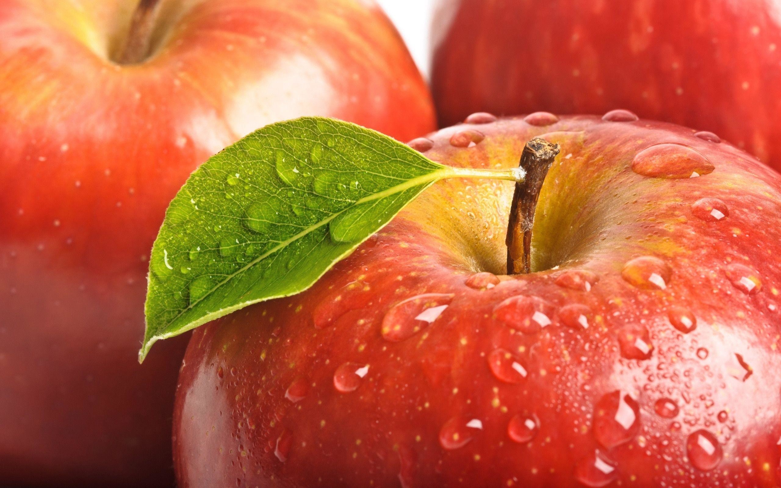 Red Apple Hd Wallpapers - Hd Wallpaper Apple Fruit - HD Wallpaper 