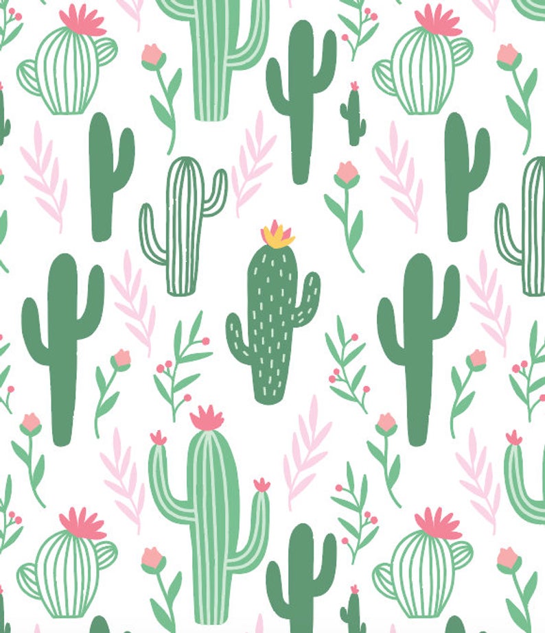 Cactus Wallpaper - Vsco Cactus - HD Wallpaper 