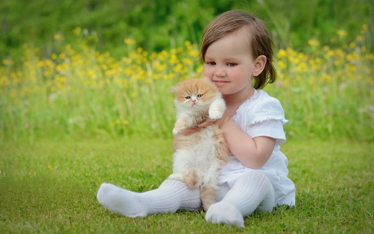 Baby Desktop Wallpaper Hd - Children With Cat - HD Wallpaper 