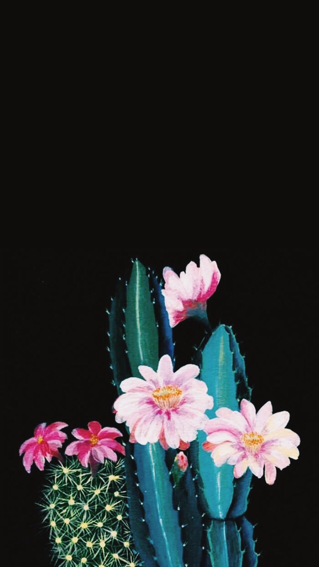 Cactus Iphone Wallpaper Black - HD Wallpaper 