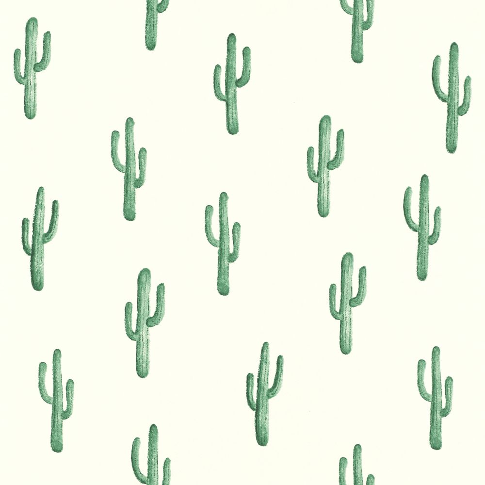 Cactus White - HD Wallpaper 