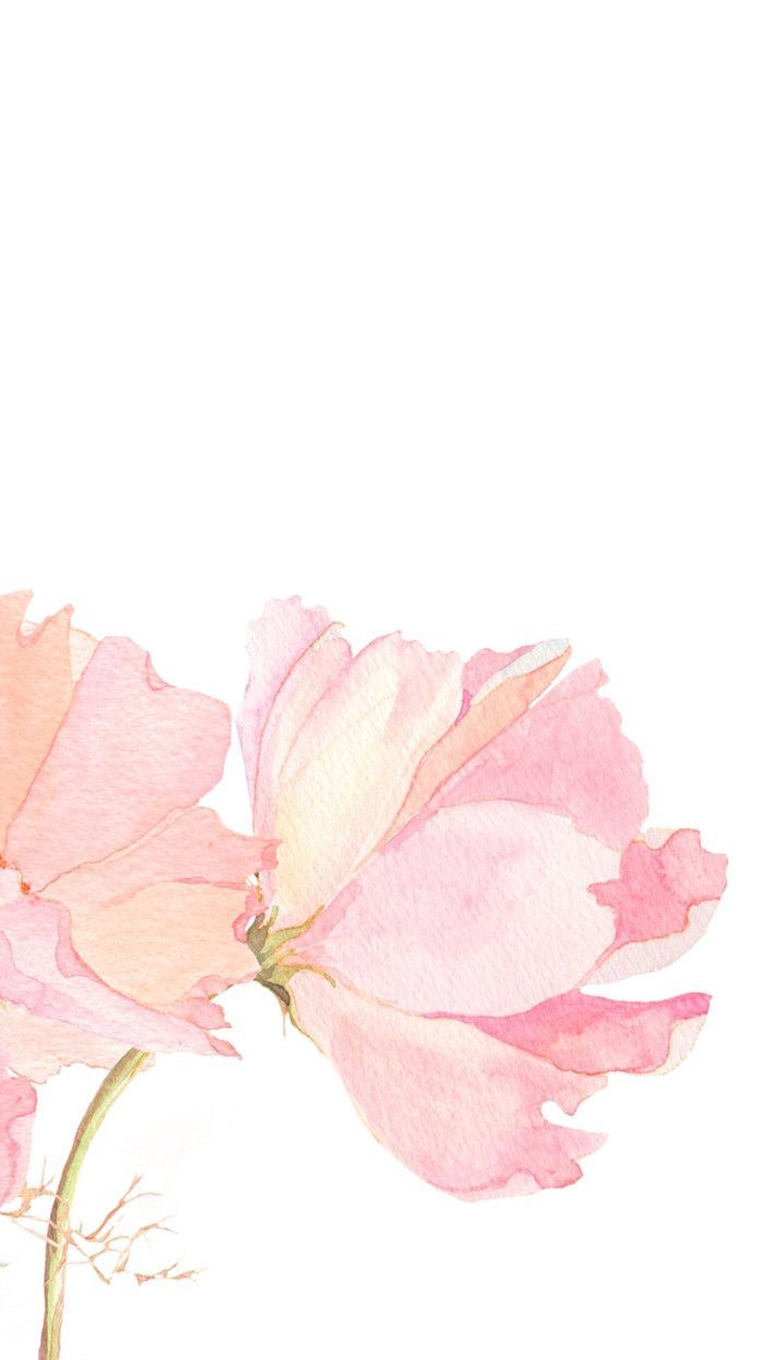 Pink Watercolour Floral Flowers Iphone Phone Wallpaper - Floral Pink Watercolor Background - HD Wallpaper 