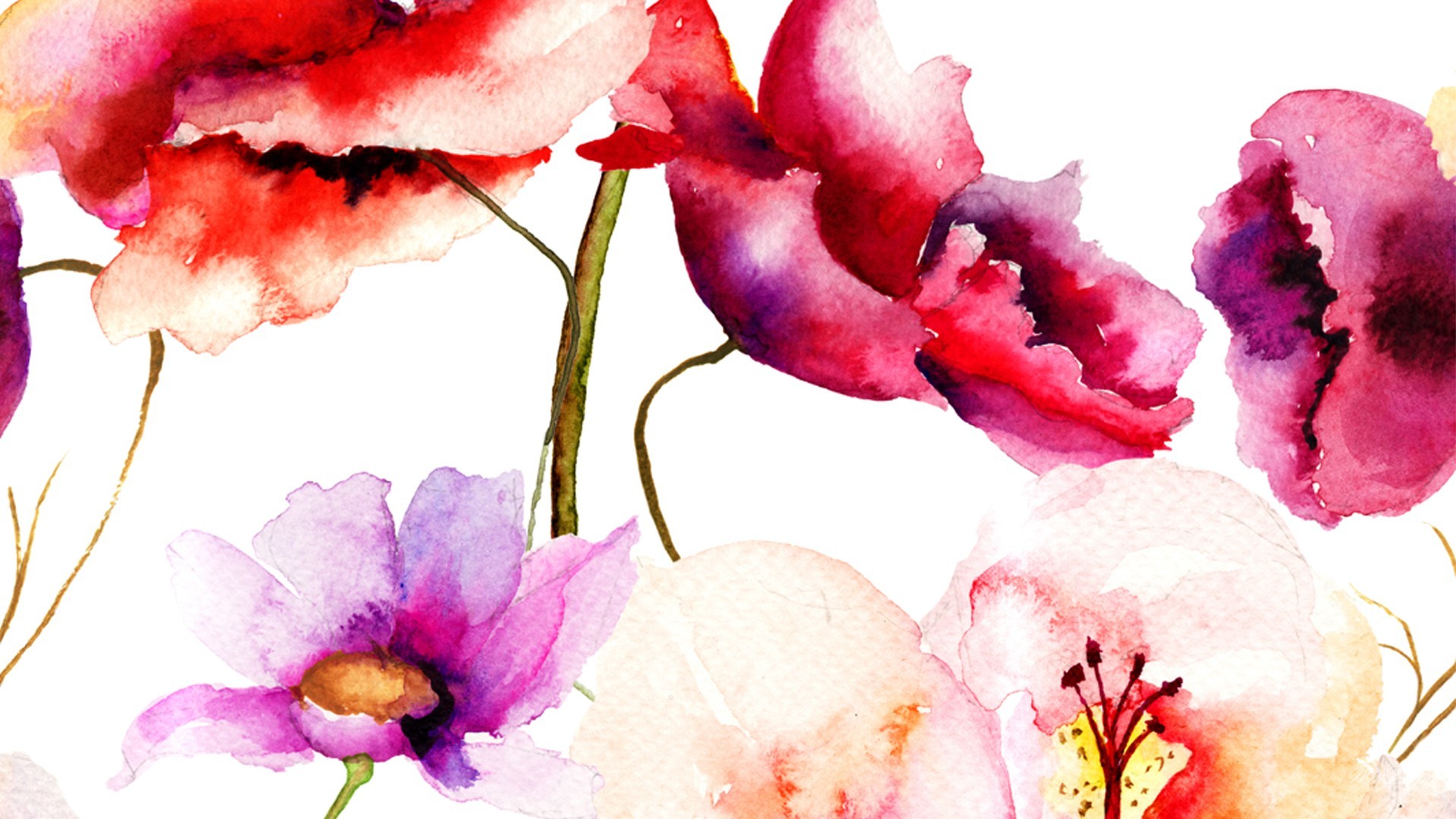 Watercolor Wallpaper Viewing Gallery 1920x1080px ~ - Floral Watercolor Desktop Background - HD Wallpaper 