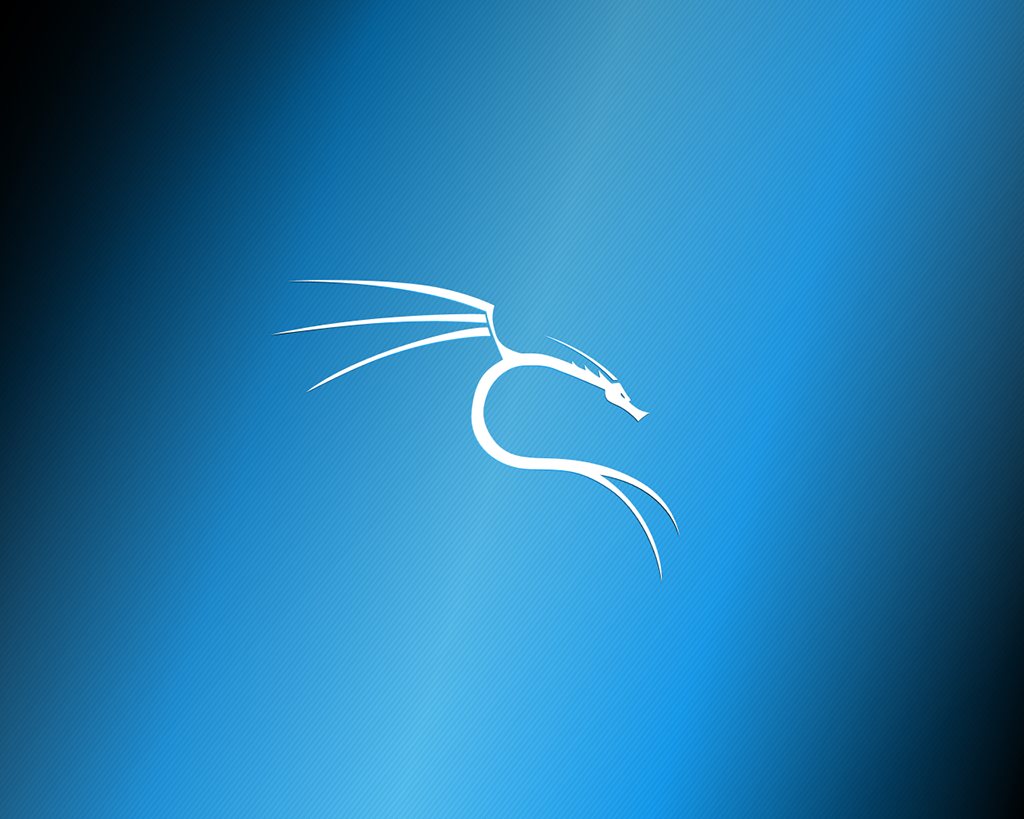 Kali Linux Background 4k - HD Wallpaper 