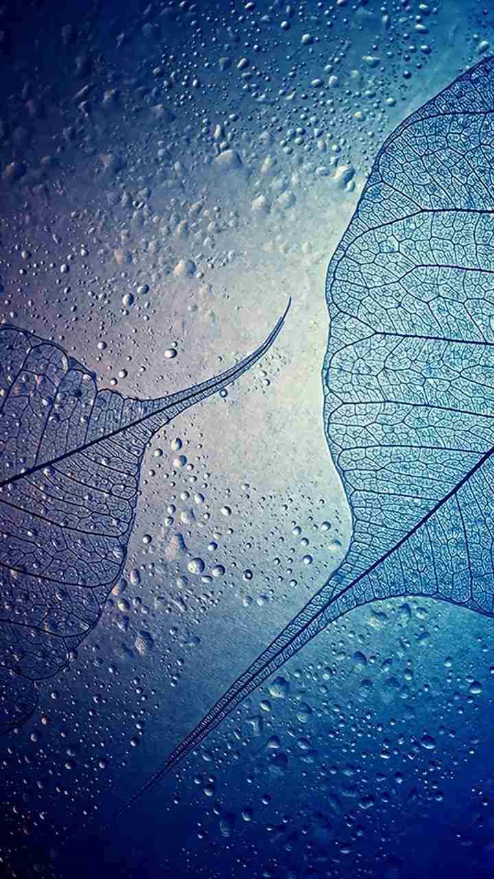 Live Wallpaper For Samsung J7 For Android Galaxy Samsung Wallpapers Hd 7x1280 Wallpaper Teahub Io