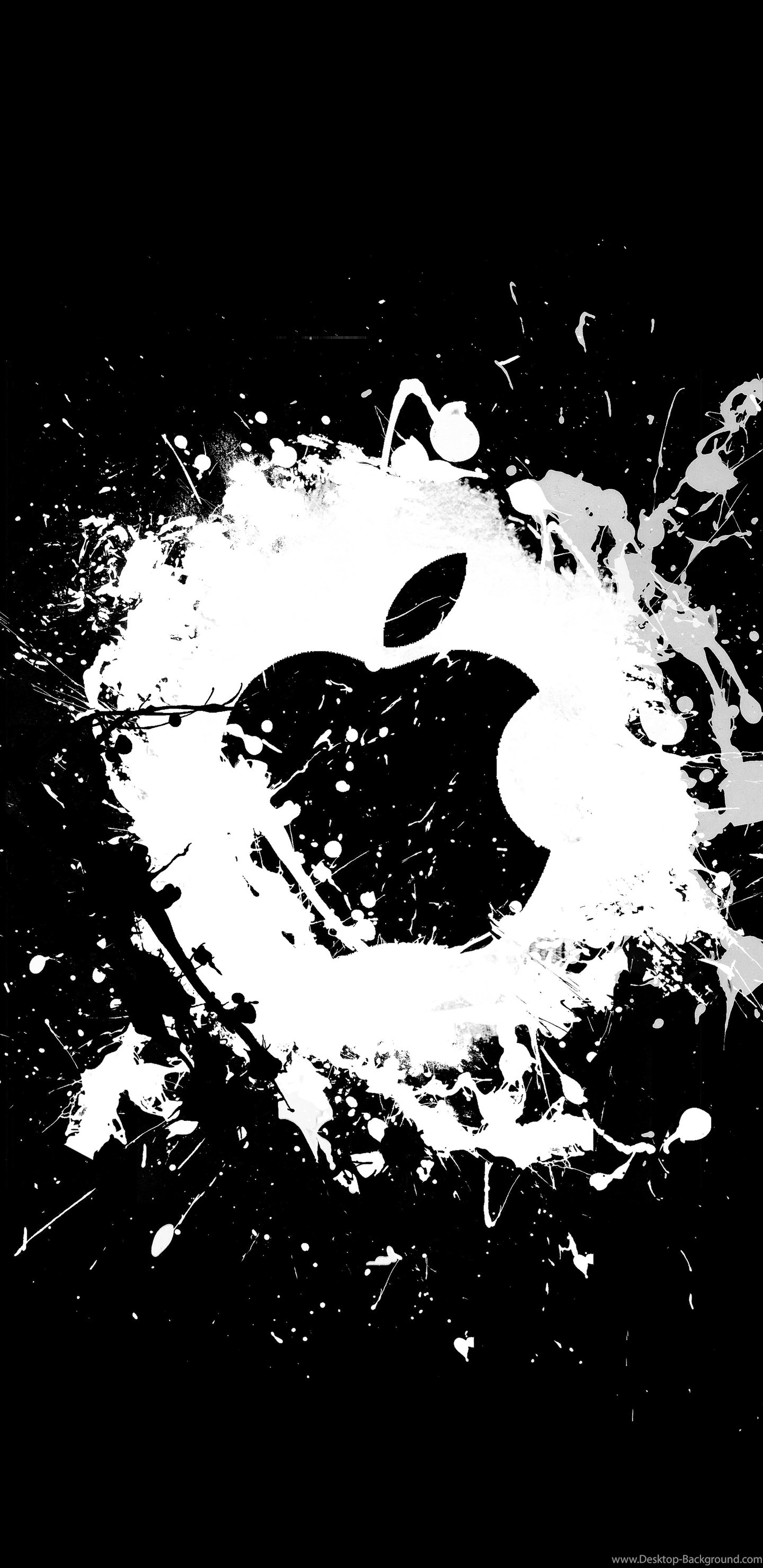 Qhd Data-src /w/full/a/2/c/512738 - Iphone 7 Black Apple Logo - 1440x2960  Wallpaper 