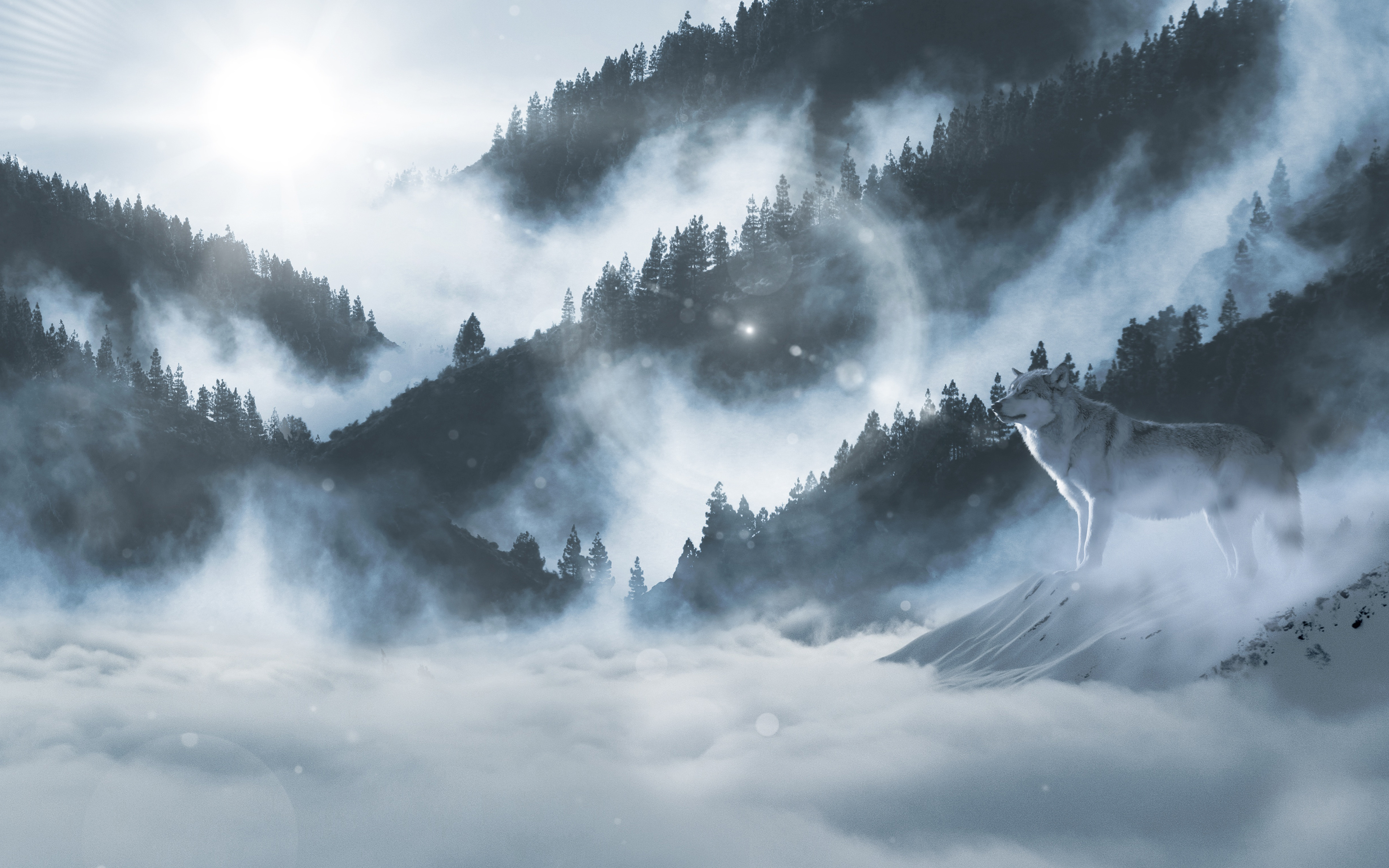 Arctic Wolf Winter Mountains 5k - Wolves Landscape - HD Wallpaper 