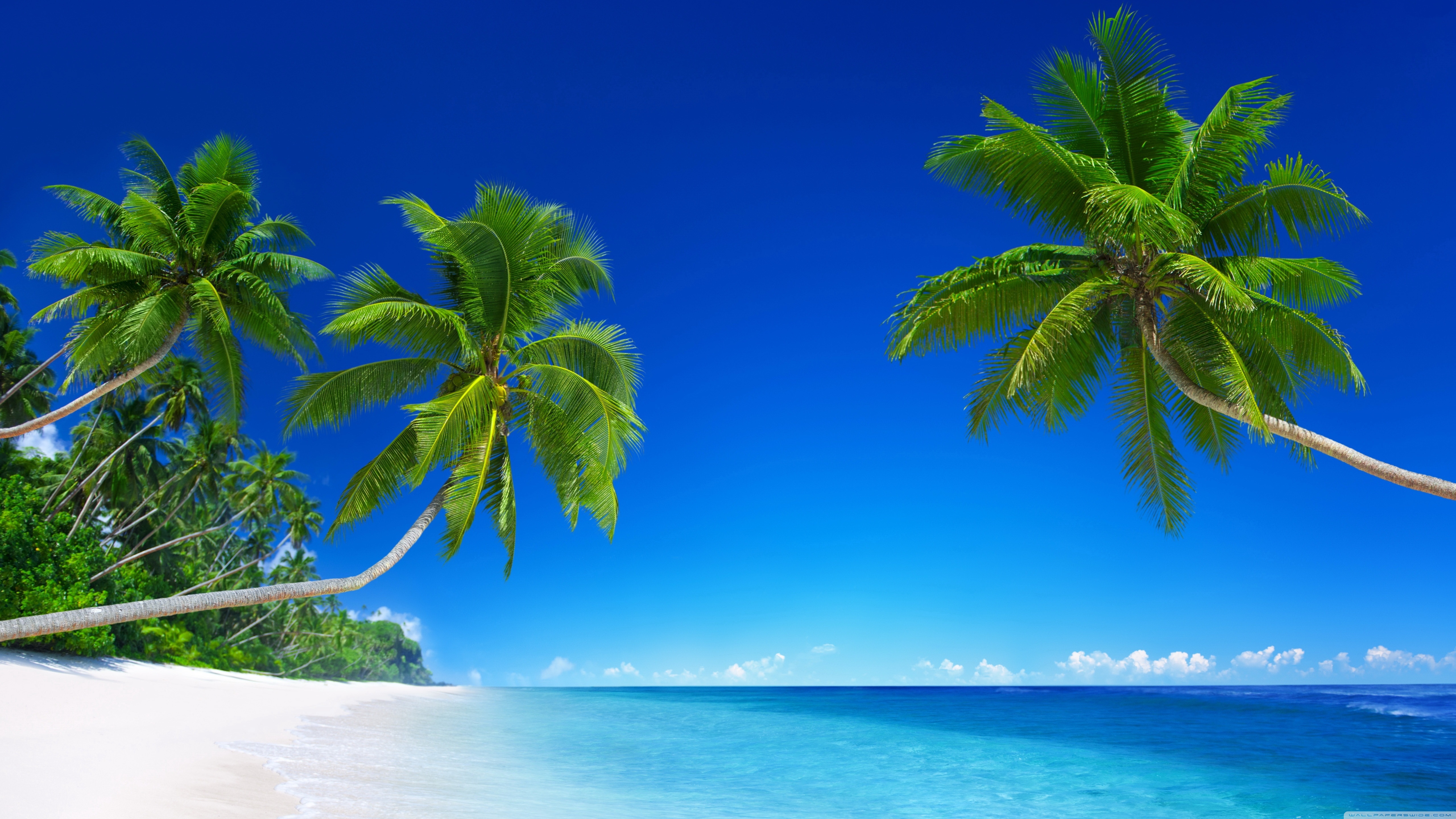 Tropical Beach Paradise - HD Wallpaper 