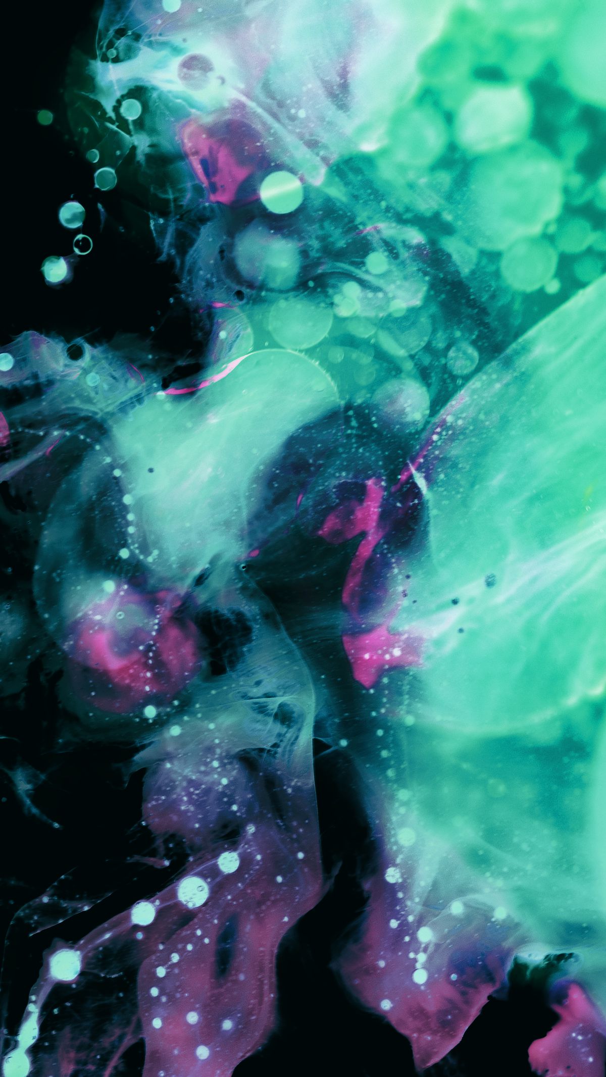 Wallpapers From The Verge - Fond D Écran Iphone 11 - HD Wallpaper 