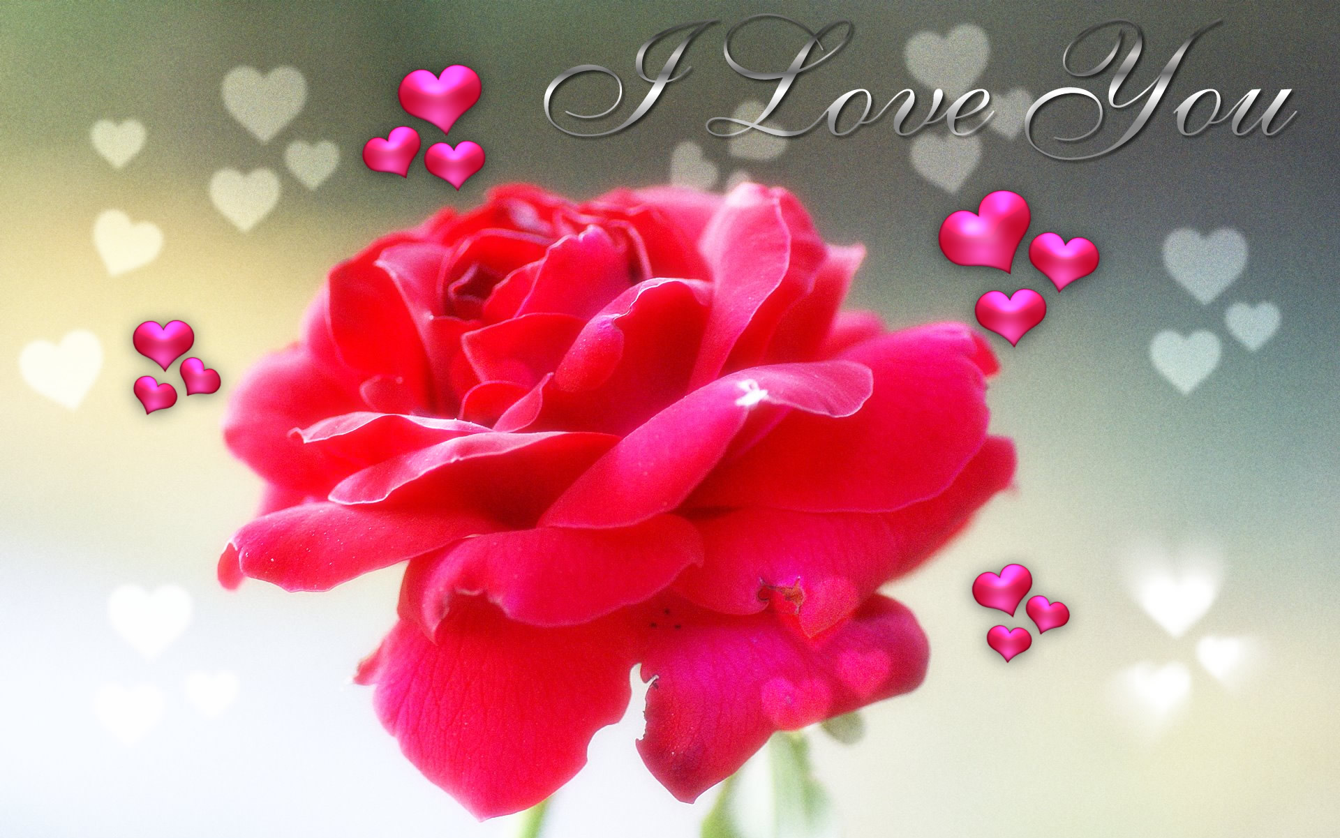 Ros I Love You - HD Wallpaper 