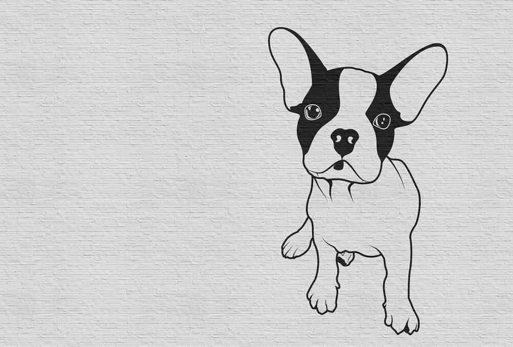 Kathrin Und Mark Patel Photo Wallpaper Tattoo You 2 - Boston Terrier - HD Wallpaper 