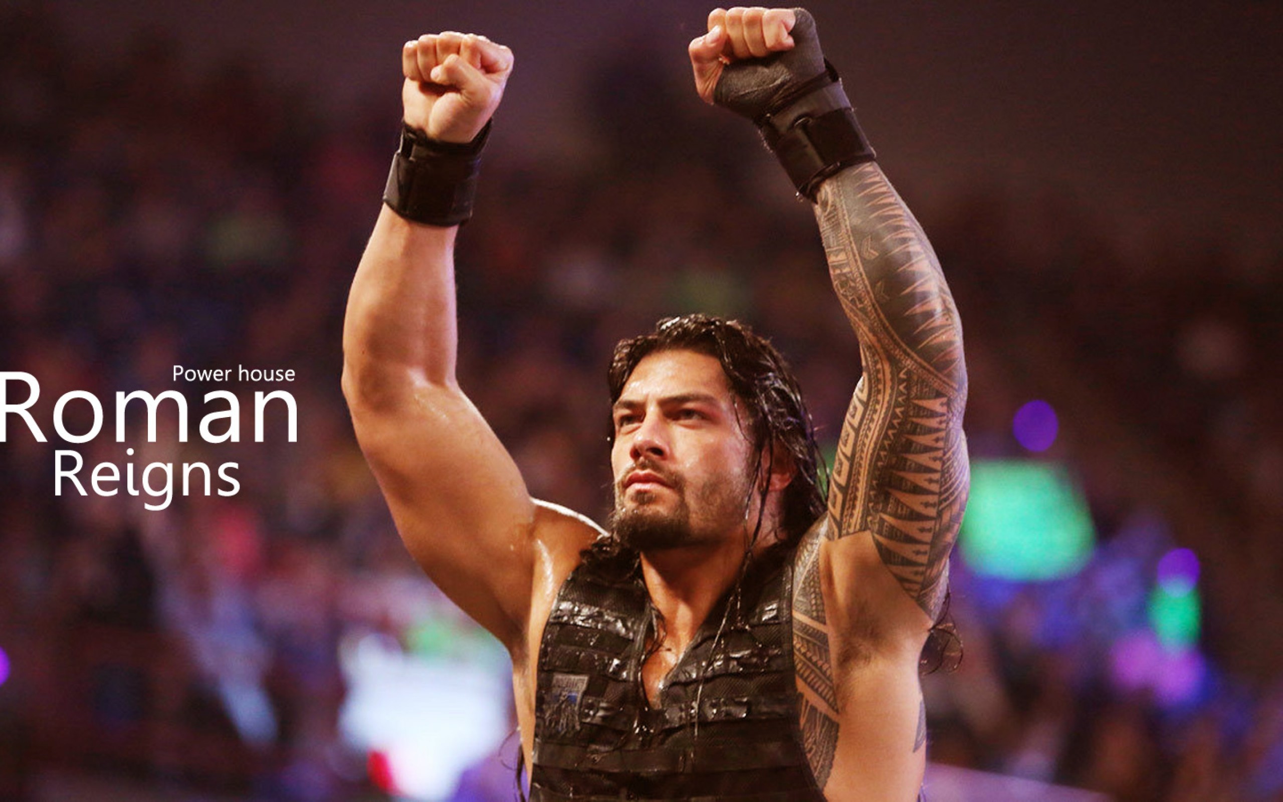 Roman Reigns Wwe Power House New Hd Wallpaper High - Wwe Roman Hd Wallpapers 1080p - HD Wallpaper 