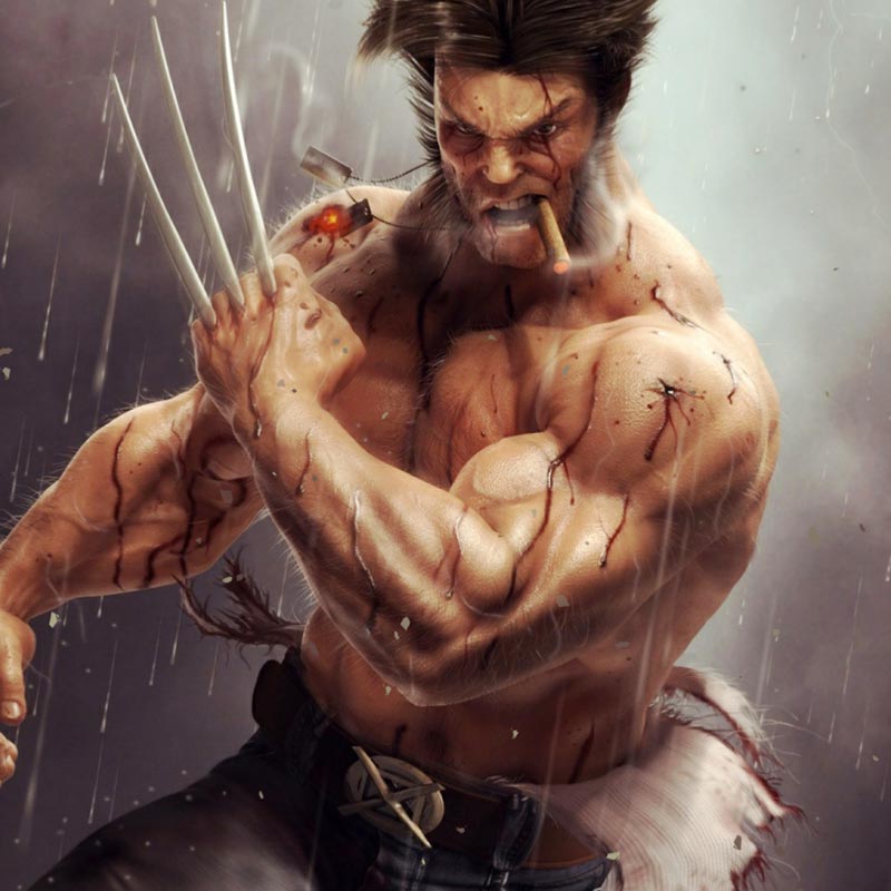 Wolverine Wallpaper Engine - Full Hd Wallpaper Wolverine - HD Wallpaper 
