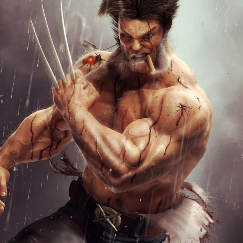 Wolverine Wallpaper Engine Full Hd Wallpaper Wolverine 800x800 Wallpaper Teahub Io