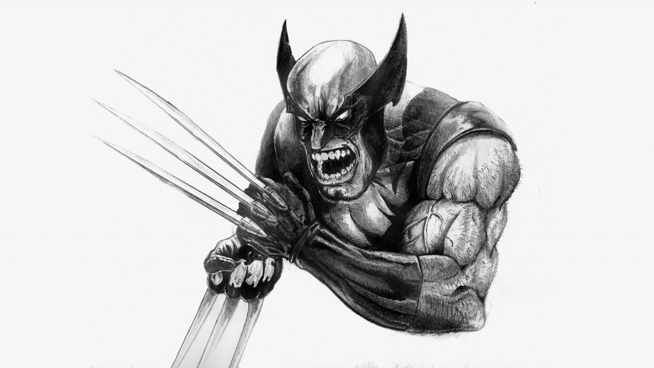 Free Download Wolverine Wallpaper Id - Wolverine Wallpaper Hd Black And White - HD Wallpaper 