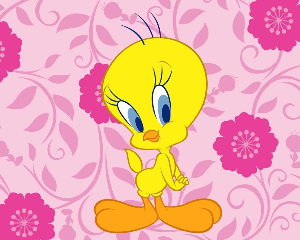 Tweety - HD Wallpaper 