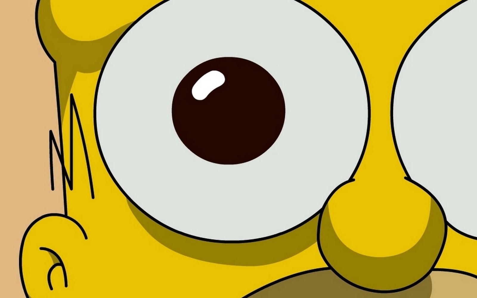 Wallpapers Animados Para Pc - Homer Simpson Eye - 1600x1000 Wallpaper -  teahub.io