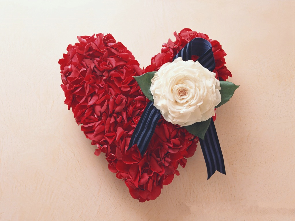 Rose In Different Colours - HD Wallpaper 