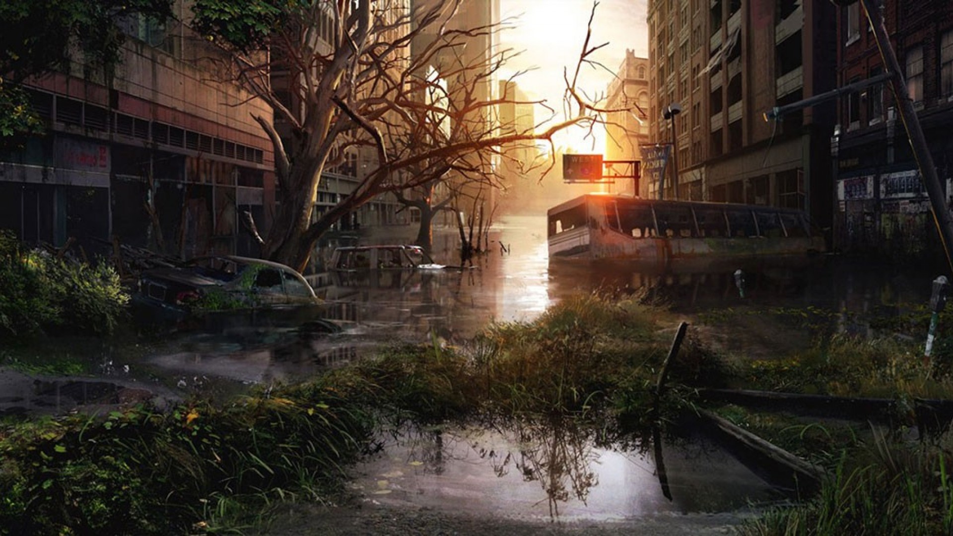Last Of Us Flooded - HD Wallpaper 