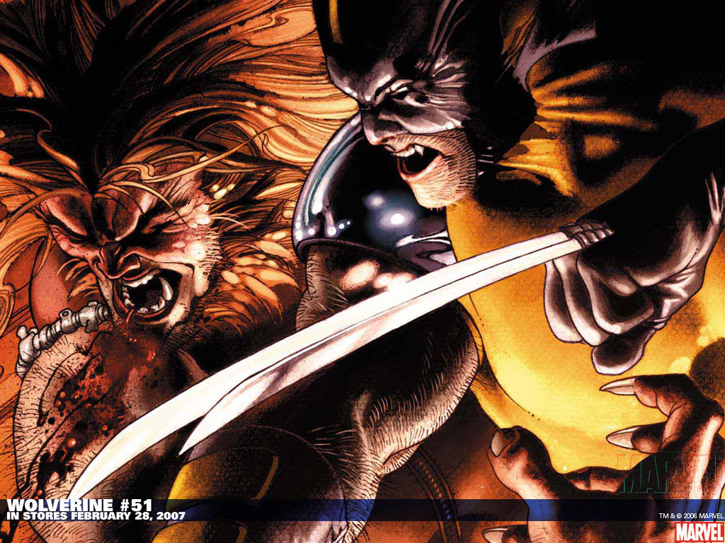 Wolverine - Wolverine Vs Sabretooth - HD Wallpaper 