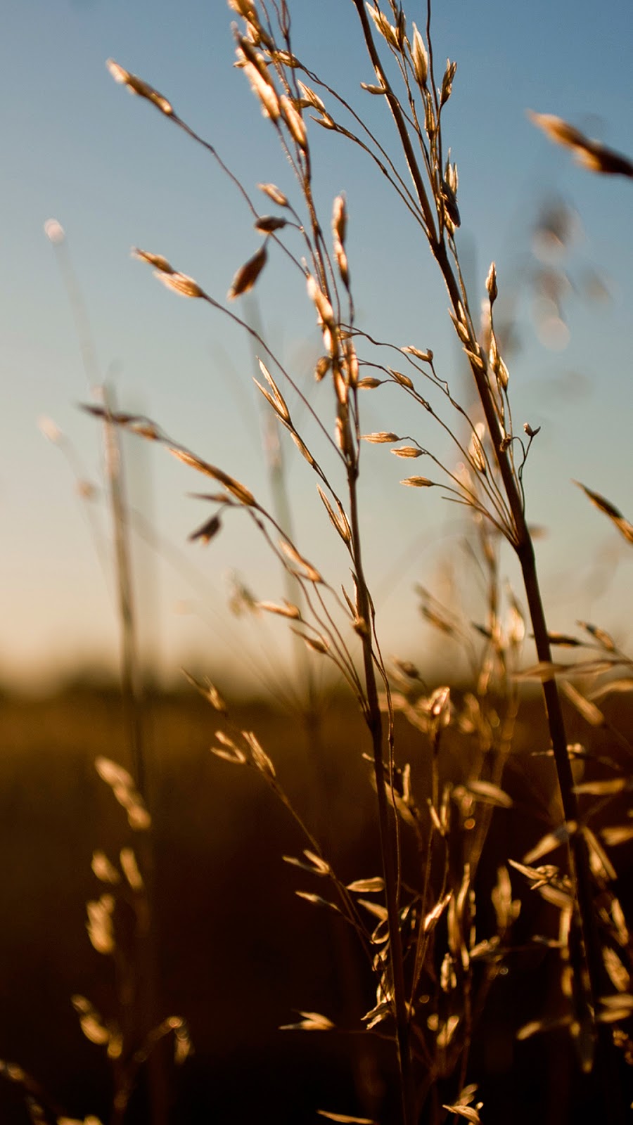 Hd Wallpaper 1920x1080 For Iphone - HD Wallpaper 