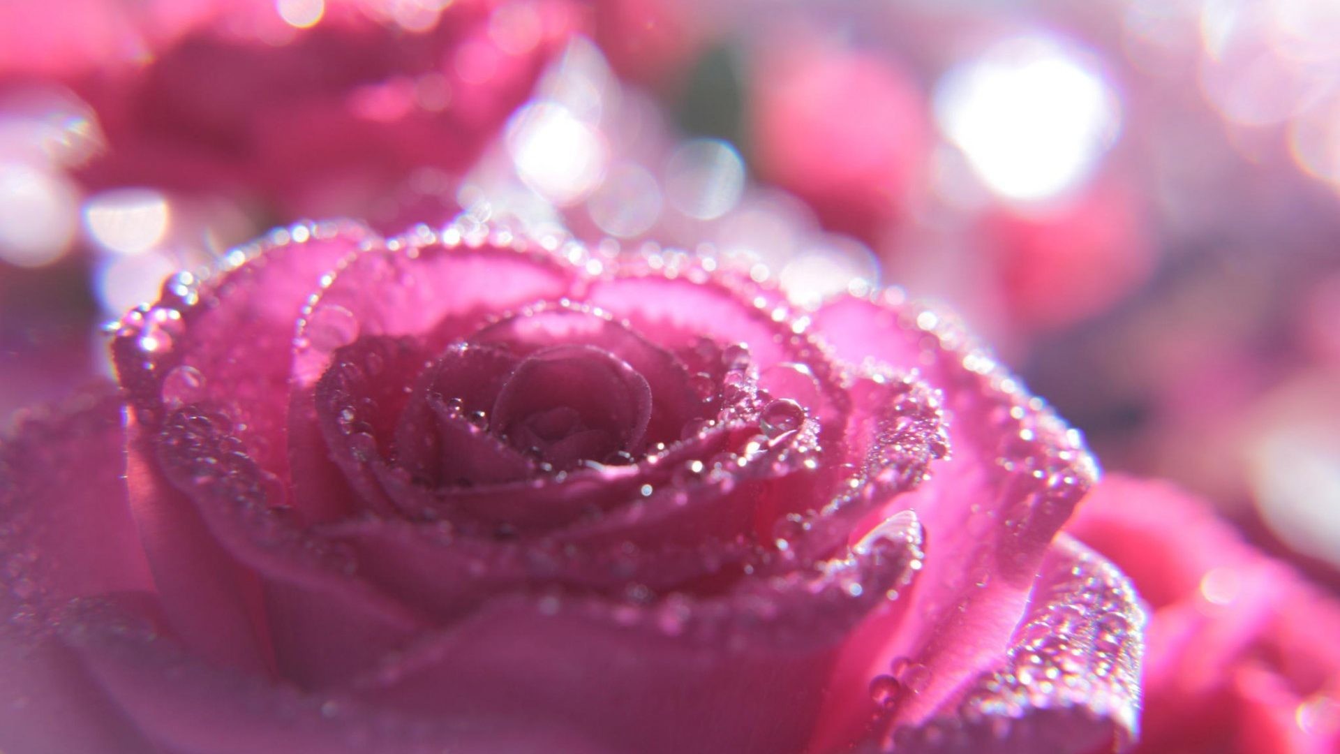 Desktop Glitter Wallpaper Hd - Full Screen Glitter Wallpaper Hd - 1920x1080 Wallpaper Desktop Glitter Wallpaper Hd - Full Screen Glitter Wallpaper Hd - 1920x1080 Wallpaper