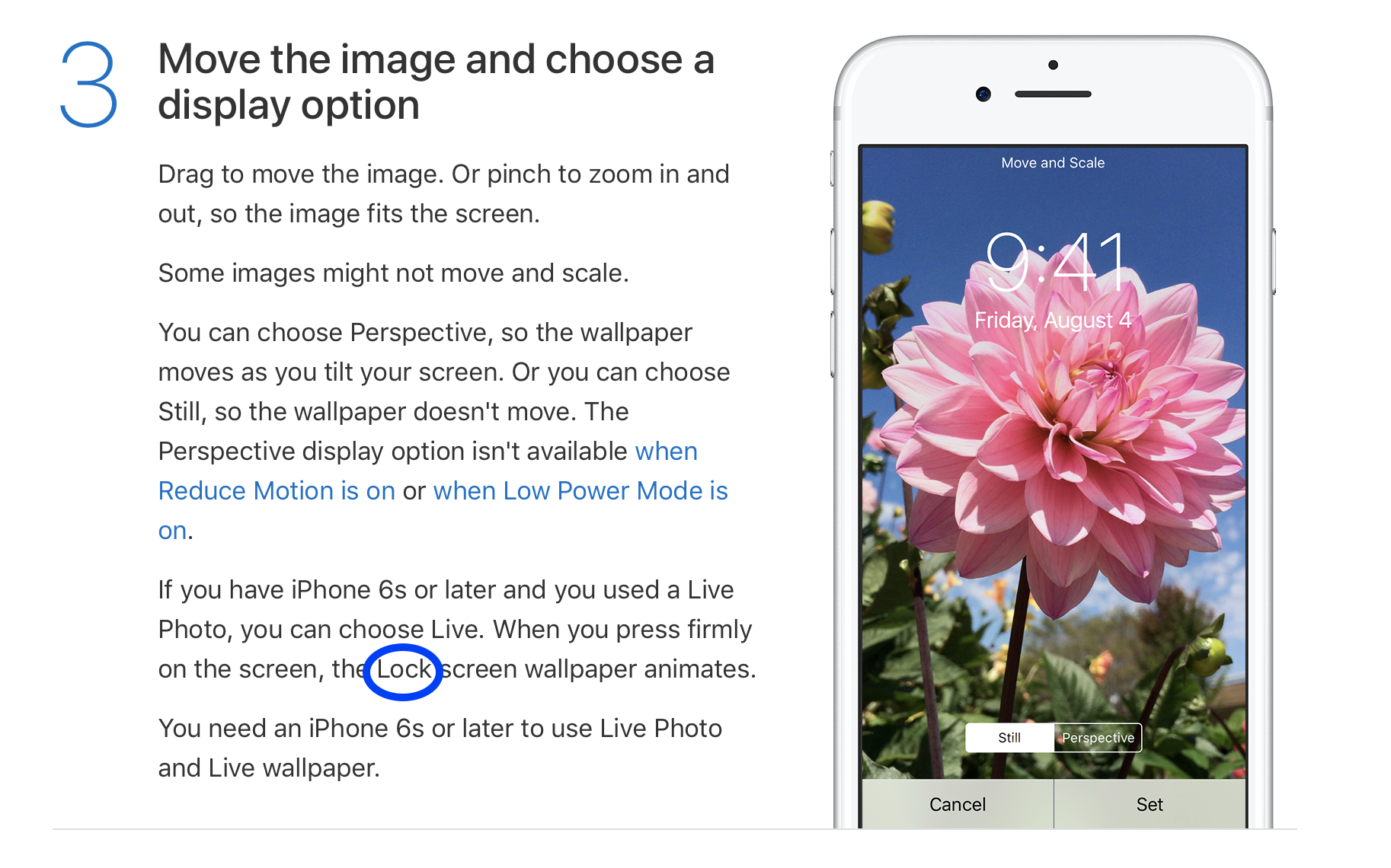 User Uploaded File - Common Peony - HD Wallpaper 