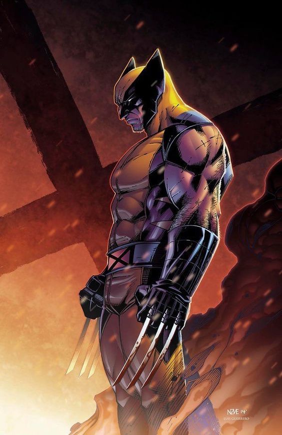 Wolverine Wallpaper Best Wolverine Wallpaper Id - Marvel Wolverine Art - HD Wallpaper 