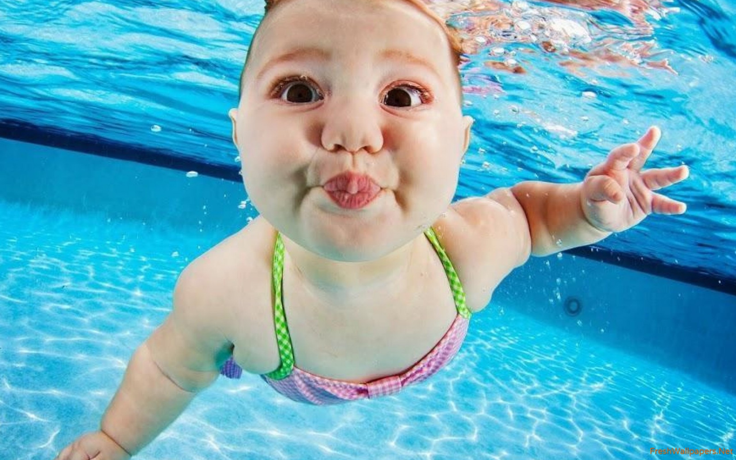 Cute Pink Baby Dolphins Swimming - 2560x1600 Wallpaper - teahub.io 
