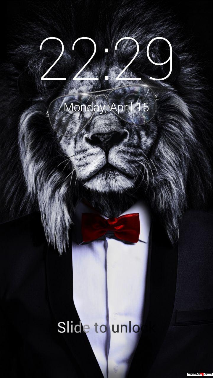 Lion Wallpaper Hd For Android Mobile - HD Wallpaper 