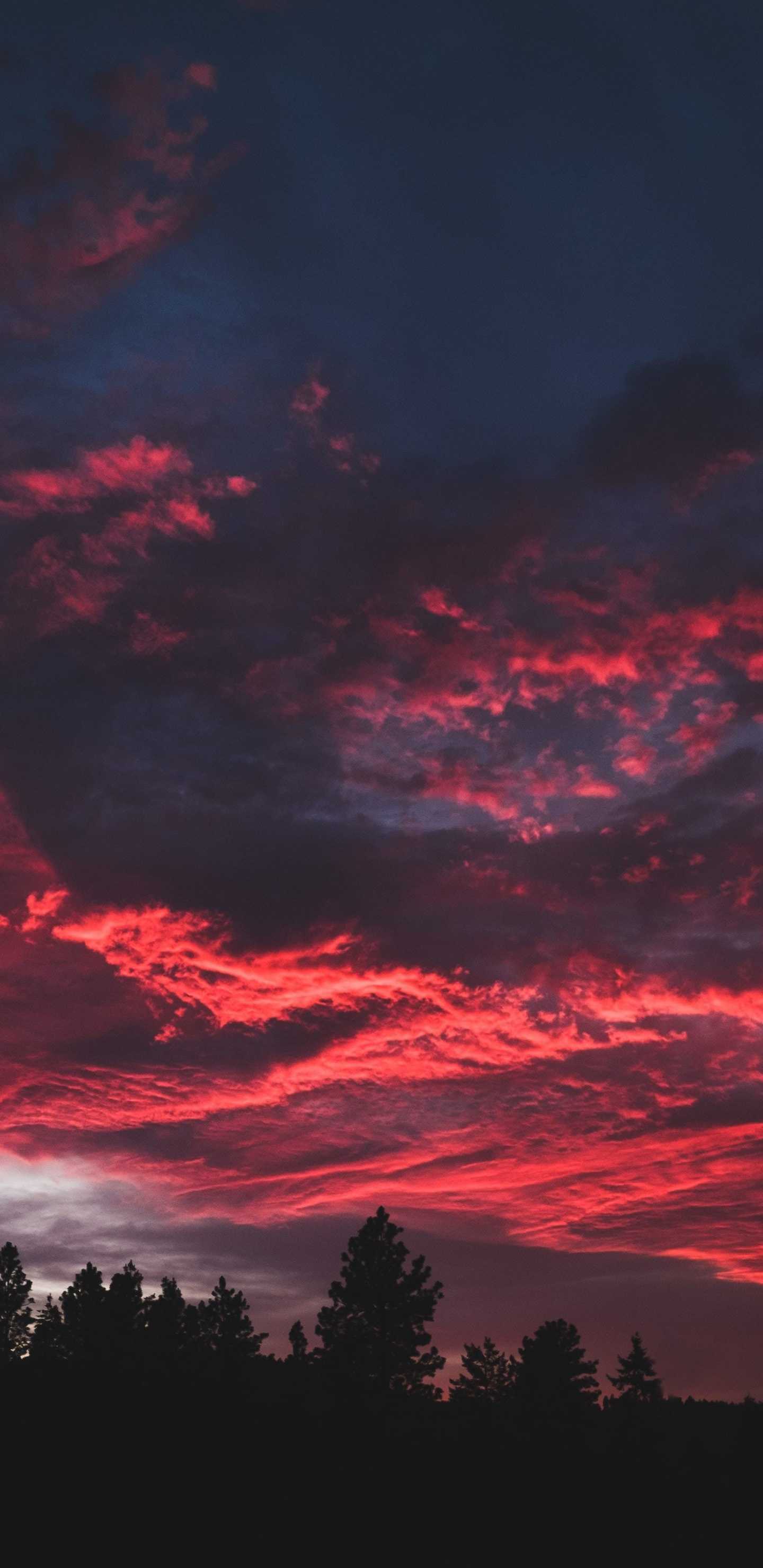 Colorful, Clouds, Sunset, Dark, Tree, Wallpaper - Sunset Wallpaper Iphone X - 1440x2960 Wallpaper Colorful, Clouds, Sunset, Dark, Tree, Wallpaper - Sunset Wallpaper Iphone X - 1440x2960 Wallpaper