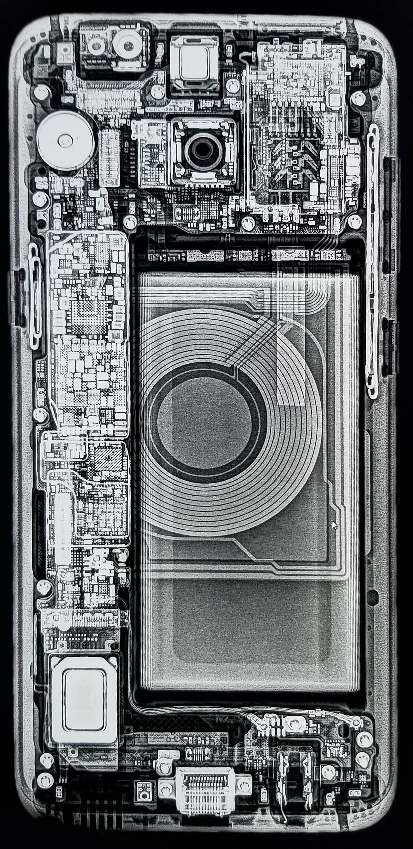 Samsung S8 X Ray - HD Wallpaper 