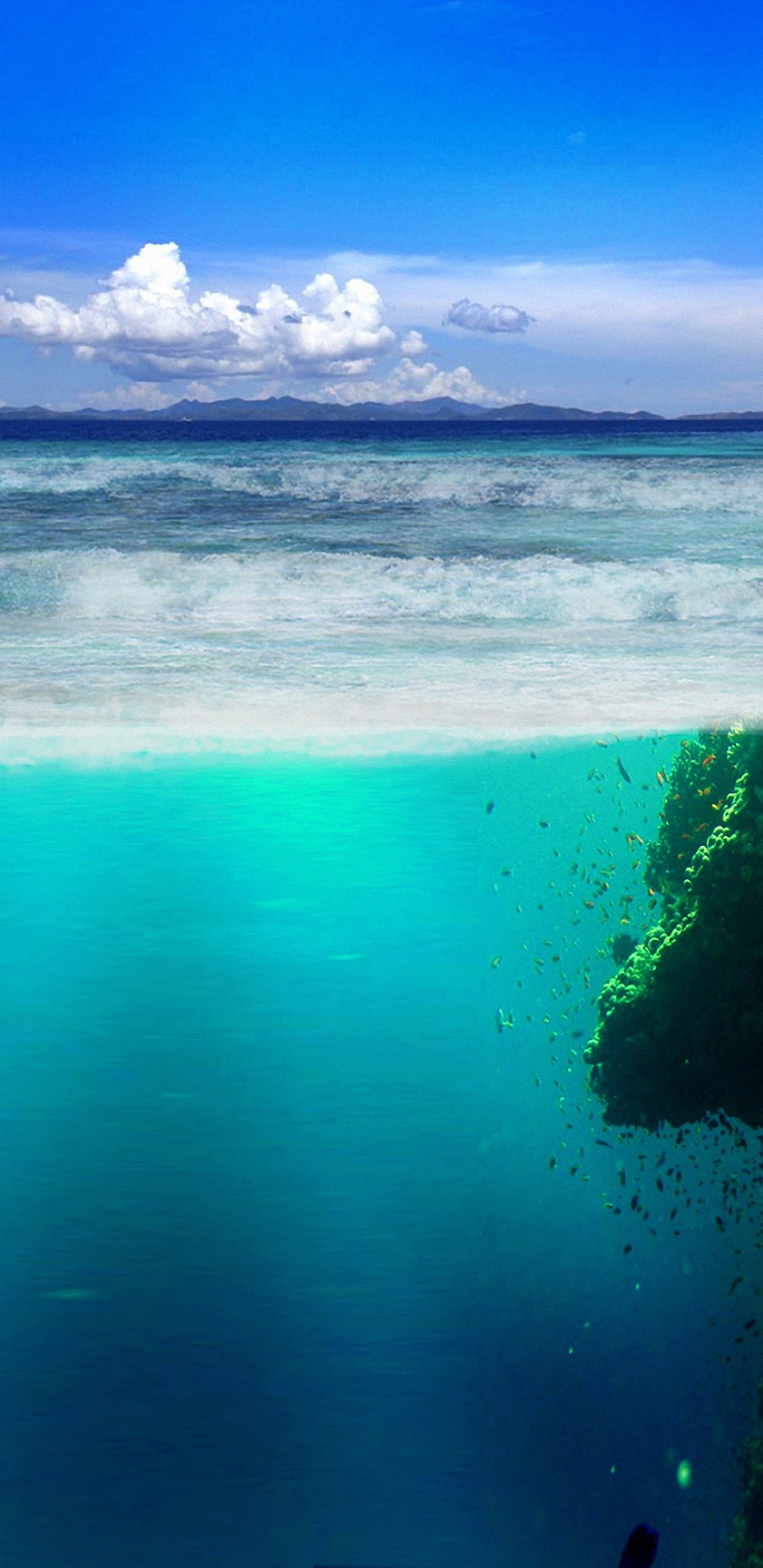 Hd Fish Coast Sea Underwater Rock Galaxy S8 Wallpapers - Top Of The Ocean Background - HD Wallpaper 