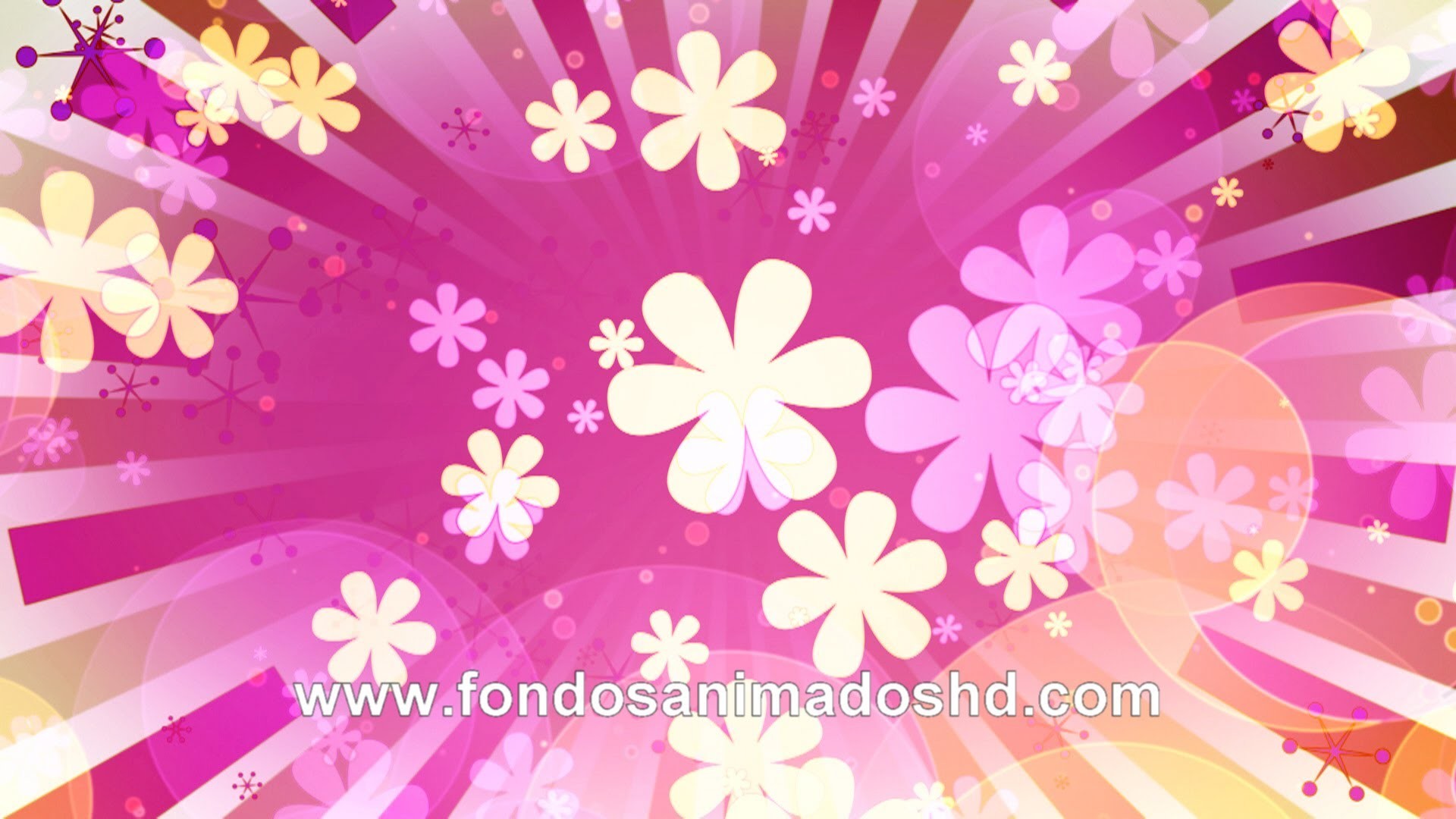 Motion Backgrounds Pack 3 Fondos Animados En Video - Fondo Animadas De Quinceañera - HD Wallpaper 