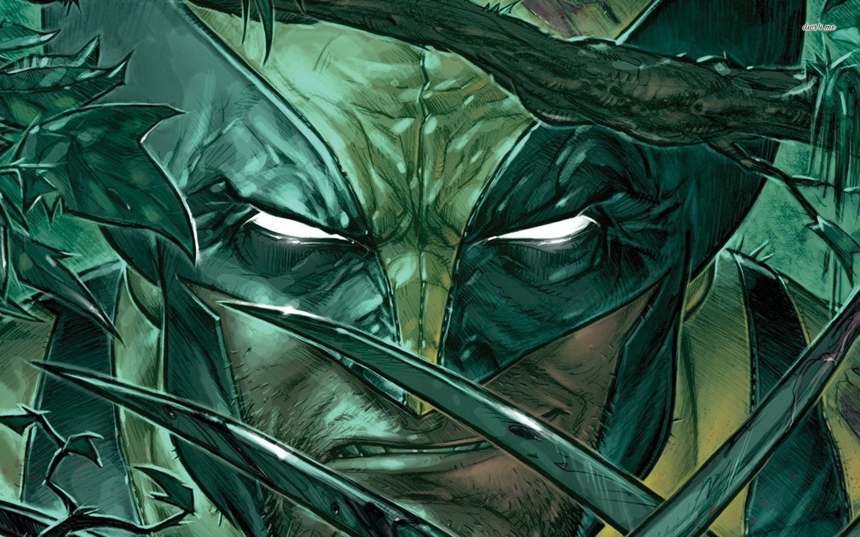 Wolverine - HD Wallpaper 
