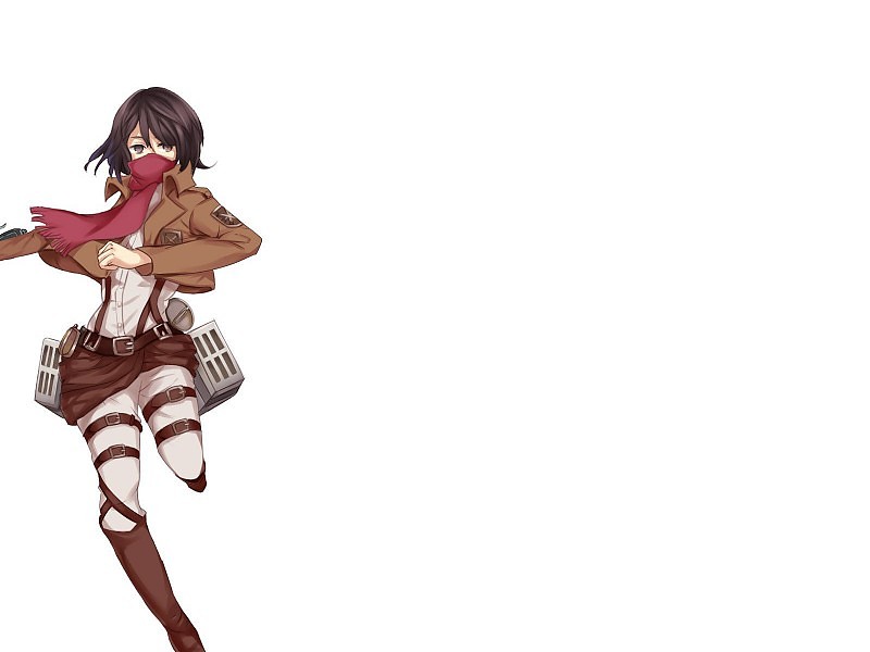 Mikasa Ackerman Attack On Titan Wallpaper - Attack On Titan White Background - HD Wallpaper 