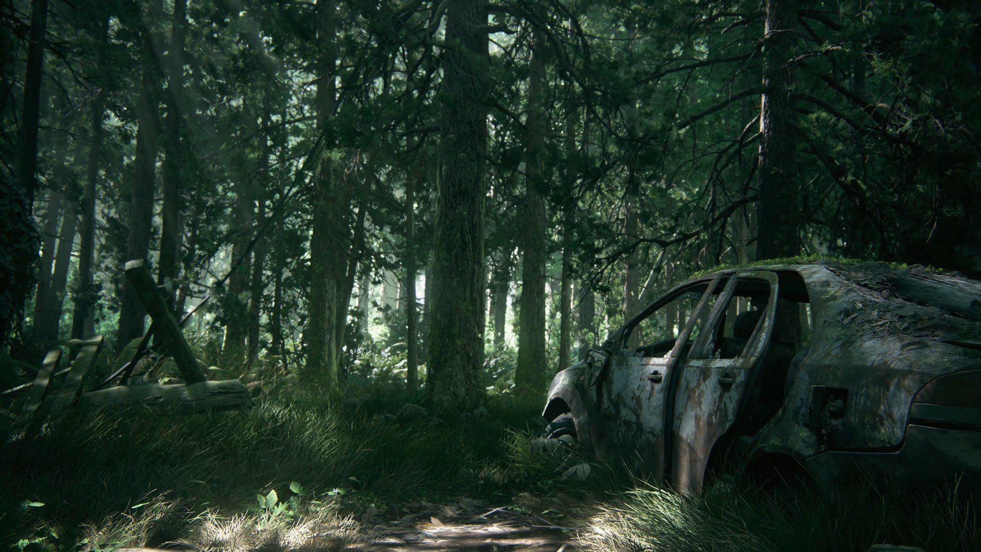 Last Of Us Forest - HD Wallpaper 