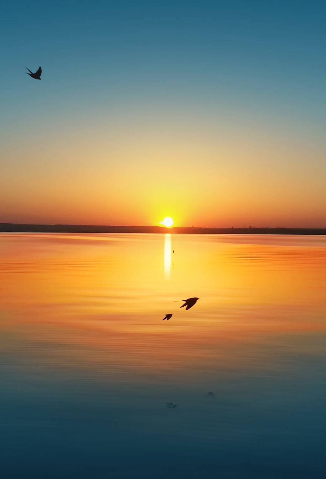 Iphone 7 Sonnenuntergang - HD Wallpaper 