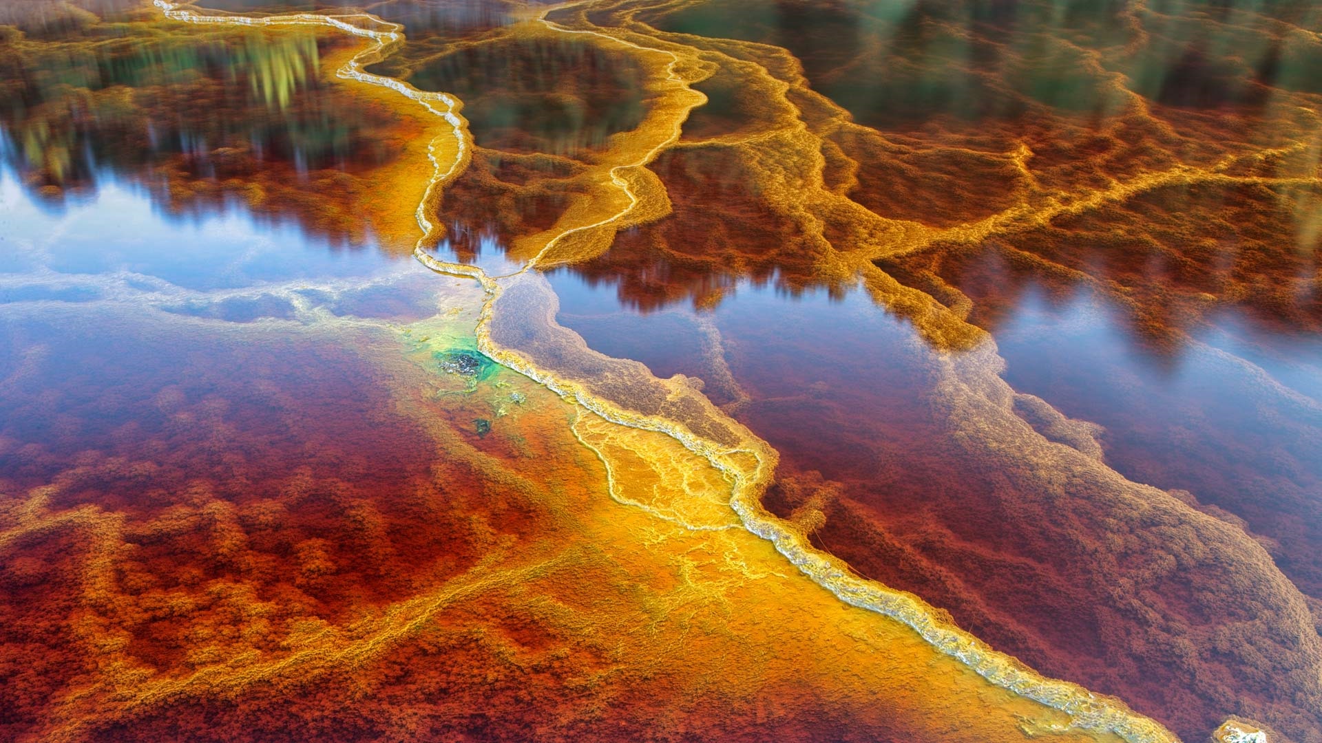 Bing Wallpaper Most Beautiful Collection Hd Bing Daily - Bing Daily - 1920x1080 Wallpaper Bing Wallpaper Most Beautiful Collection Hd Bing Daily - Bing Daily - 1920x1080 Wallpaper