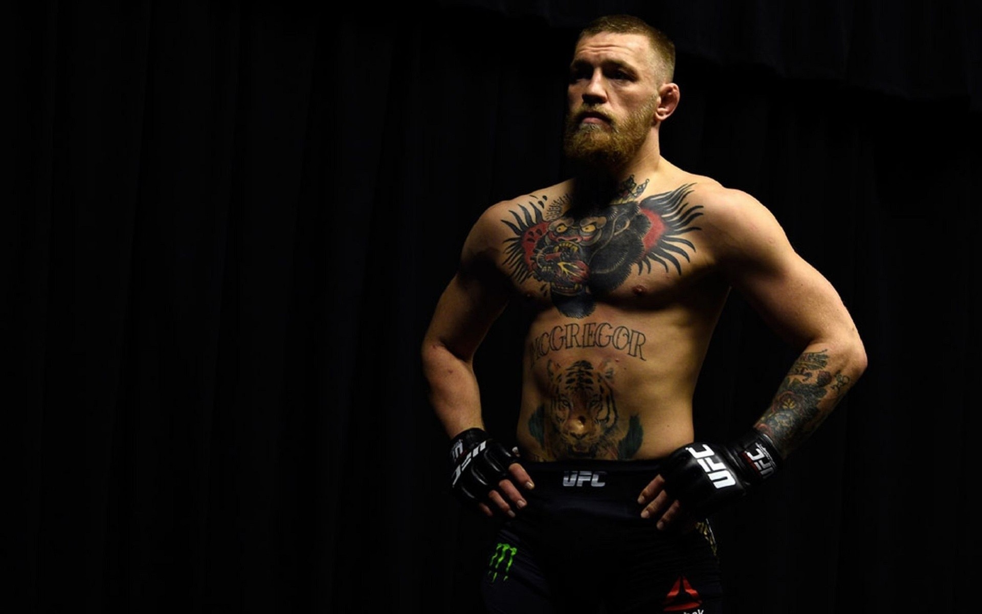Conor Mcgregor Wallpapers 
 Data-src /full/1402199 - Conor Mcgregor - HD Wallpaper 