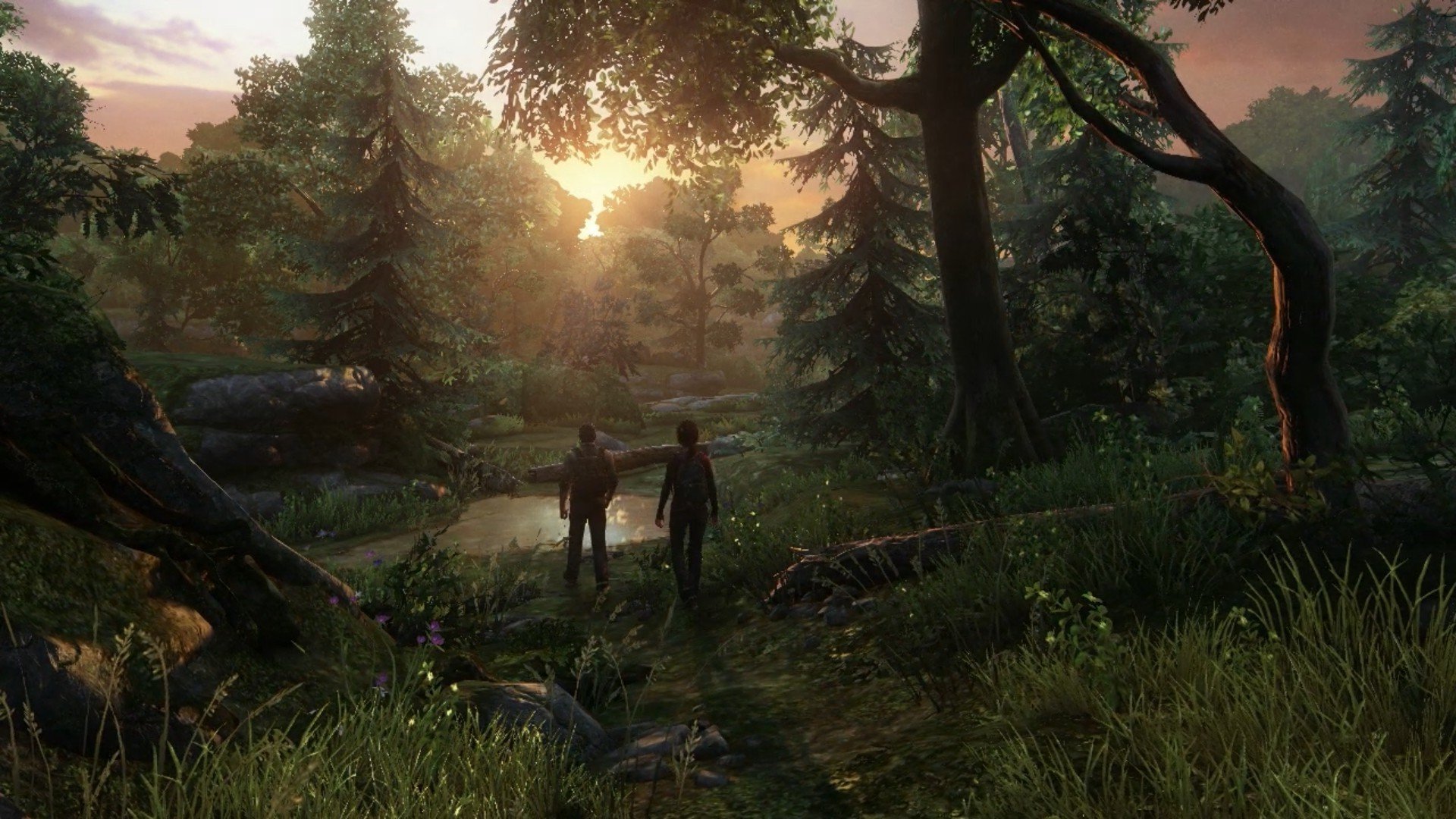 Hdq-the Last Of Us 2016 High Quality - HD Wallpaper 