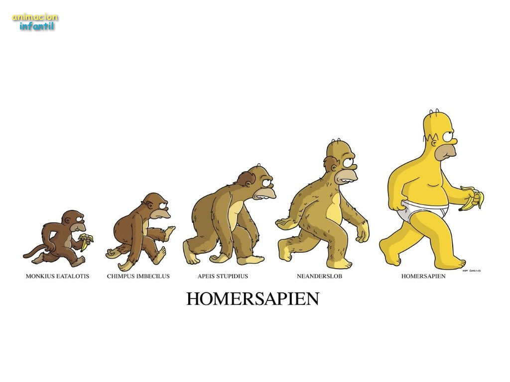 Homo Sapiens Homo Economicus - HD Wallpaper 